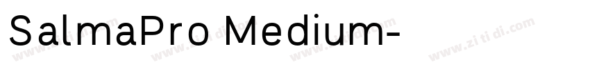 SalmaPro Medium字体转换